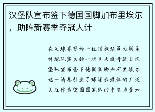 汉堡队宣布签下德国国脚加布里埃尔，助阵新赛季夺冠大计