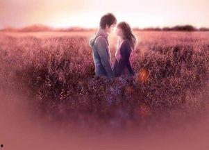 顾先生你的心尖儿不太乖