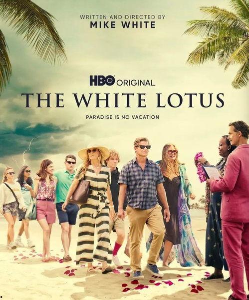 双宿单飞 第一季,爱情与成长的交织之旅