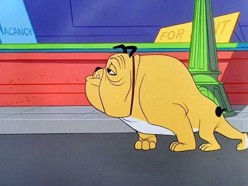 这次，换我守护全家,新时代家庭守护者的责任与担当