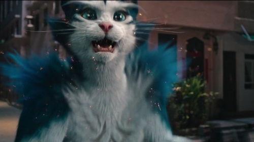 喵星人(普通话版),揭秘猫咪的神奇世界