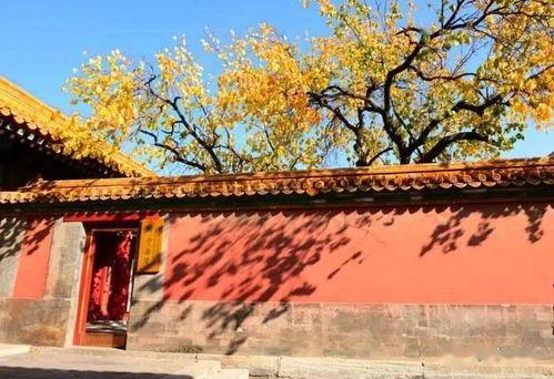 朱墙青云录(朱墙青云路),揭秘古代宫廷权谋与人生起伏